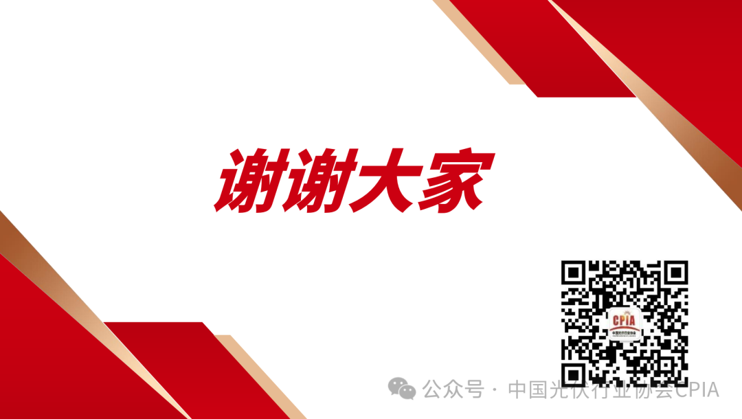 王勃华: 2024年光伏行业发展回顾与2025年形势展望