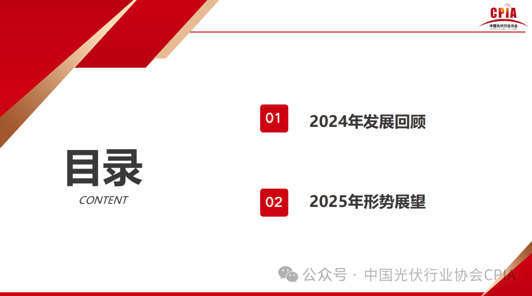 王勃华: 2024年光伏行业发展回顾与2025年形势展望