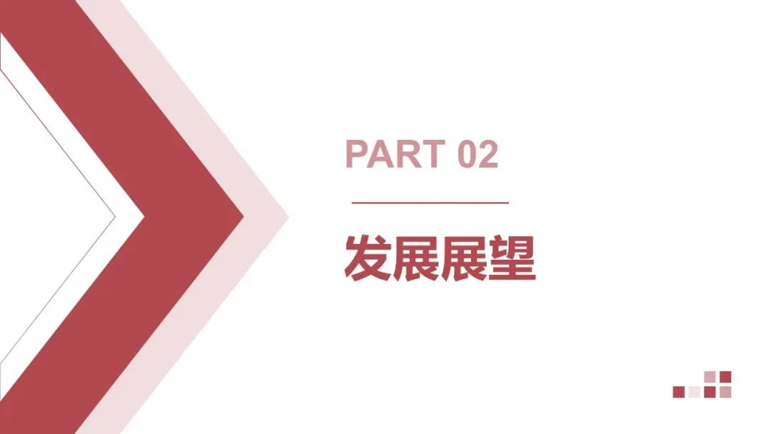王勃华: 2025年光伏行业上半年发展回顾与下半年形势展望