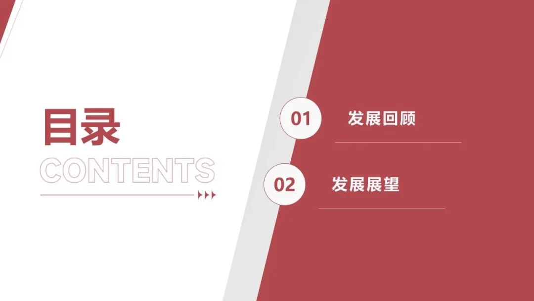 王勃华: 2025年光伏行业上半年发展回顾与下半年形势展望