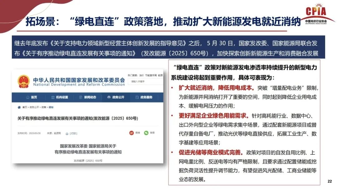 王勃华: 2025年光伏行业上半年发展回顾与下半年形势展望