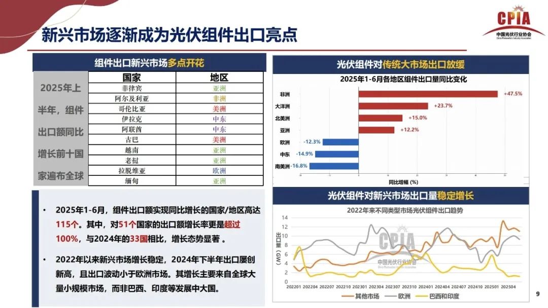 王勃华: 2025年光伏行业上半年发展回顾与下半年形势展望