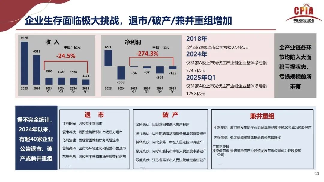 王勃华: 2025年光伏行业上半年发展回顾与下半年形势展望