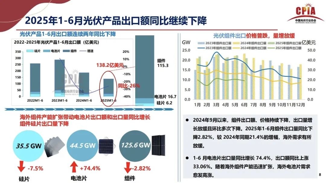 王勃华: 2025年光伏行业上半年发展回顾与下半年形势展望